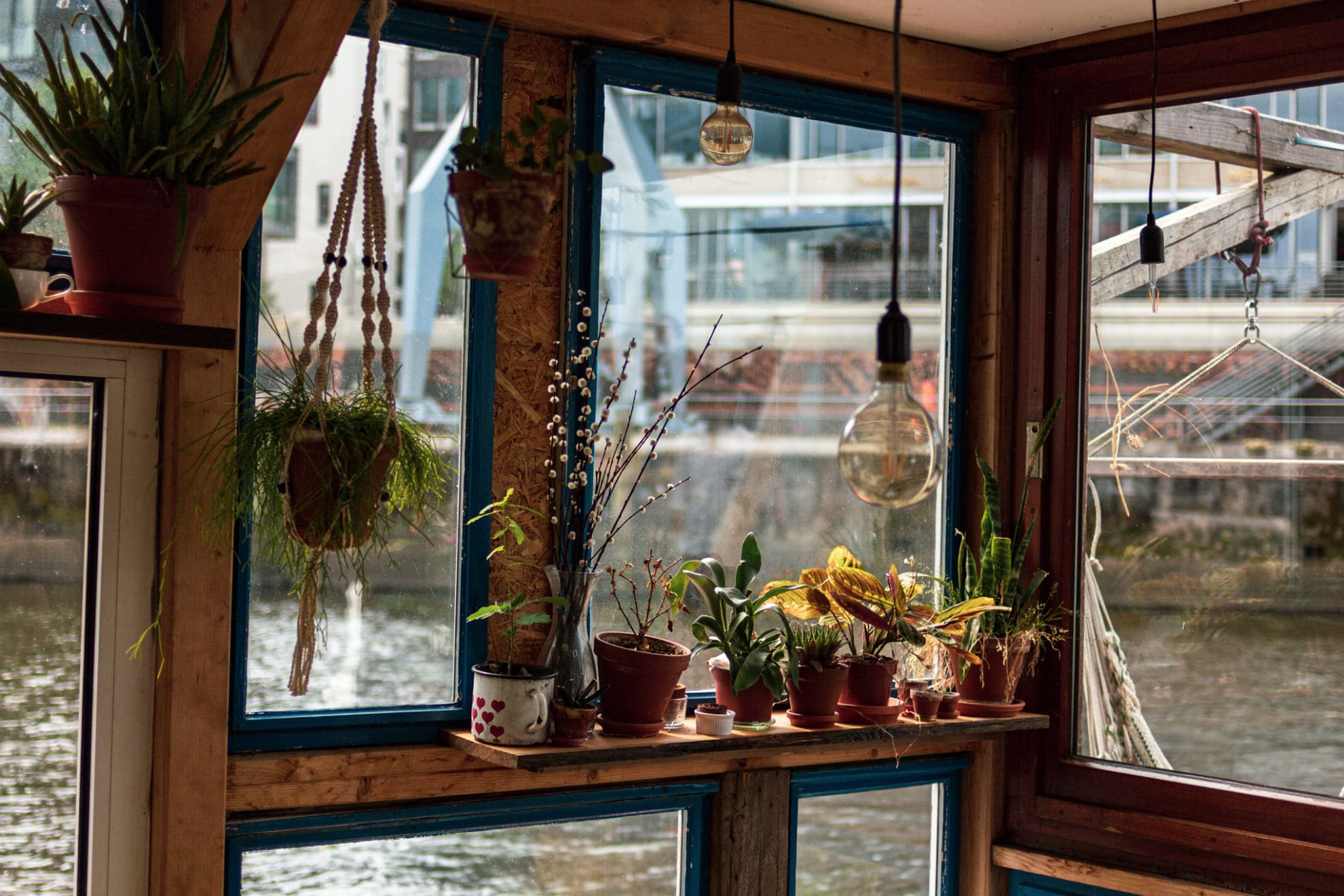 Mehrere kleine Zimmerpflanzen stehen auf einer Fensterbank aus Holz auf einem Hausboot mit Blick auf das Wasser.