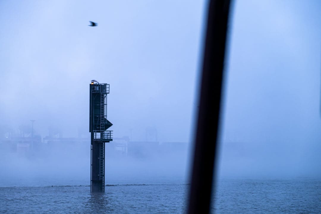 Nebel schwebt über dem Wasser der Elbe. Ein Vogel fliegt über einen Pfahl im Wasser. Im Vordergrund ist ein schwarzer unscharfer Balken quer im Bild.