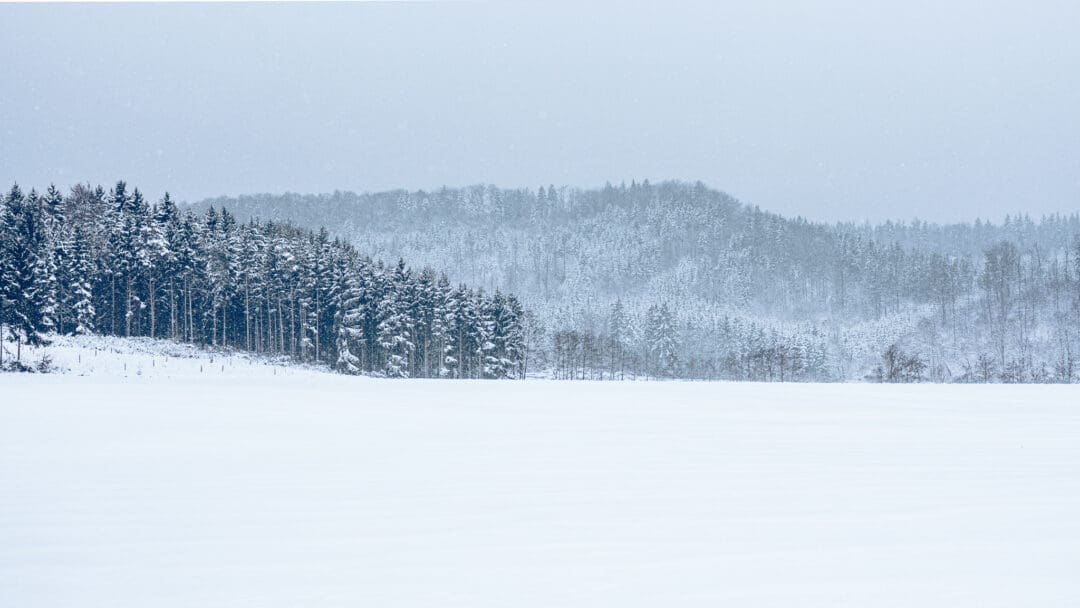 Eine verschneite Wiese, links befindet sich ein Nadelwald im Schneegestöber , im Hintergrund befindet sich ebenfalls ein verschneiter Wald