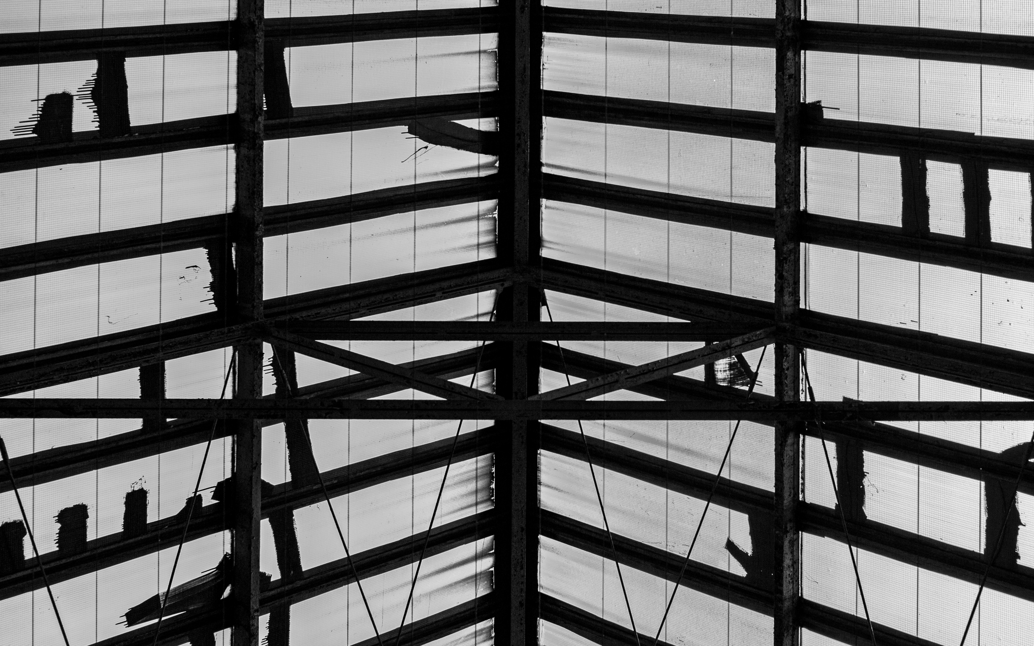 Schwarz-weiß Bild einer Stahlkonstruktion eines Daches mit Milchglasscheiben und vielen Querverstrebungen.