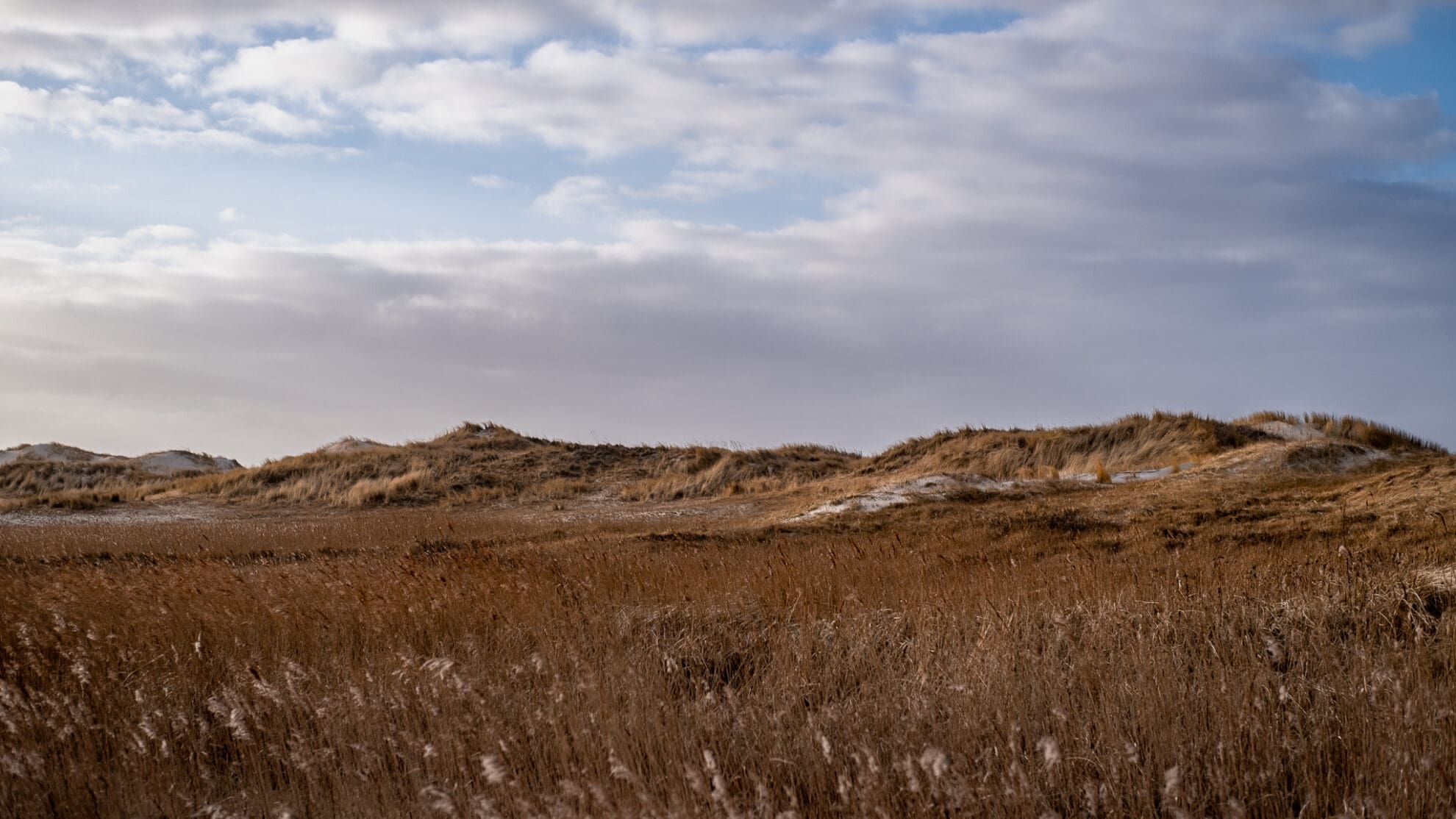 Blick über die braun gefärbte Landschaft hinter den grasbewachsenen Dünen am Meer.