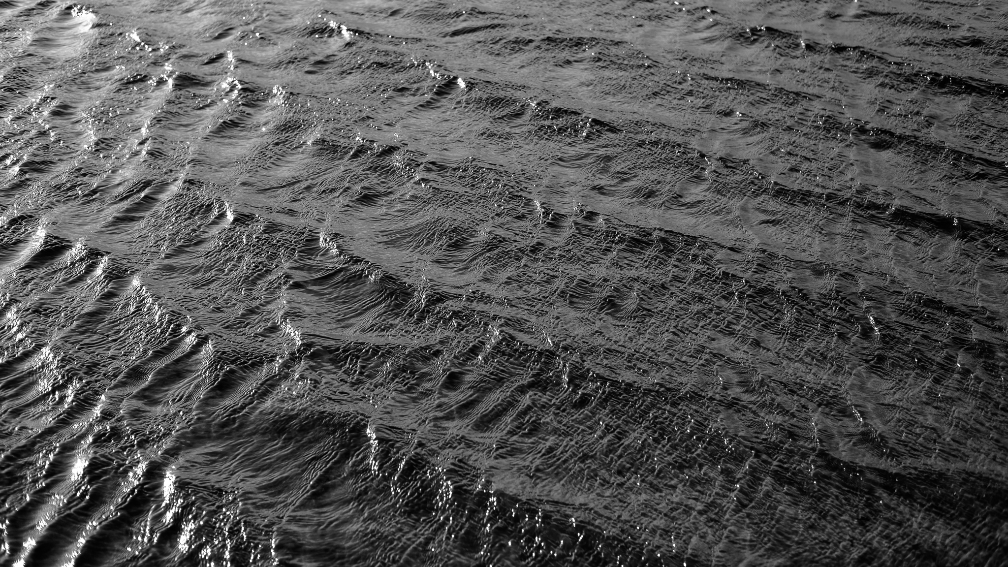Schwarz-weiß Aufnahme von kleineren Wellen, die über die Oberfläche ziehen, von links reflektiert die Sonne in den Wellenkämmen