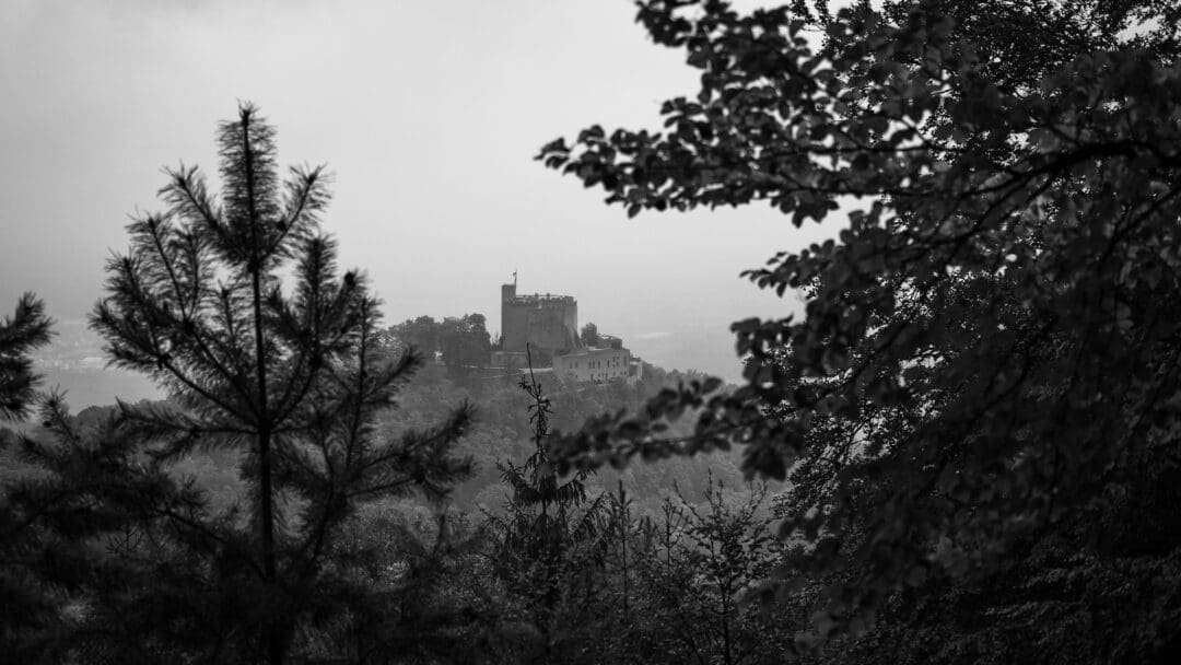 Schwarz-weiße Aufnahme des Hambacher Schlosses, umrahmt von zahlreichen Ästen und der Spitze eines Nadelbaums auf der linken Seite.