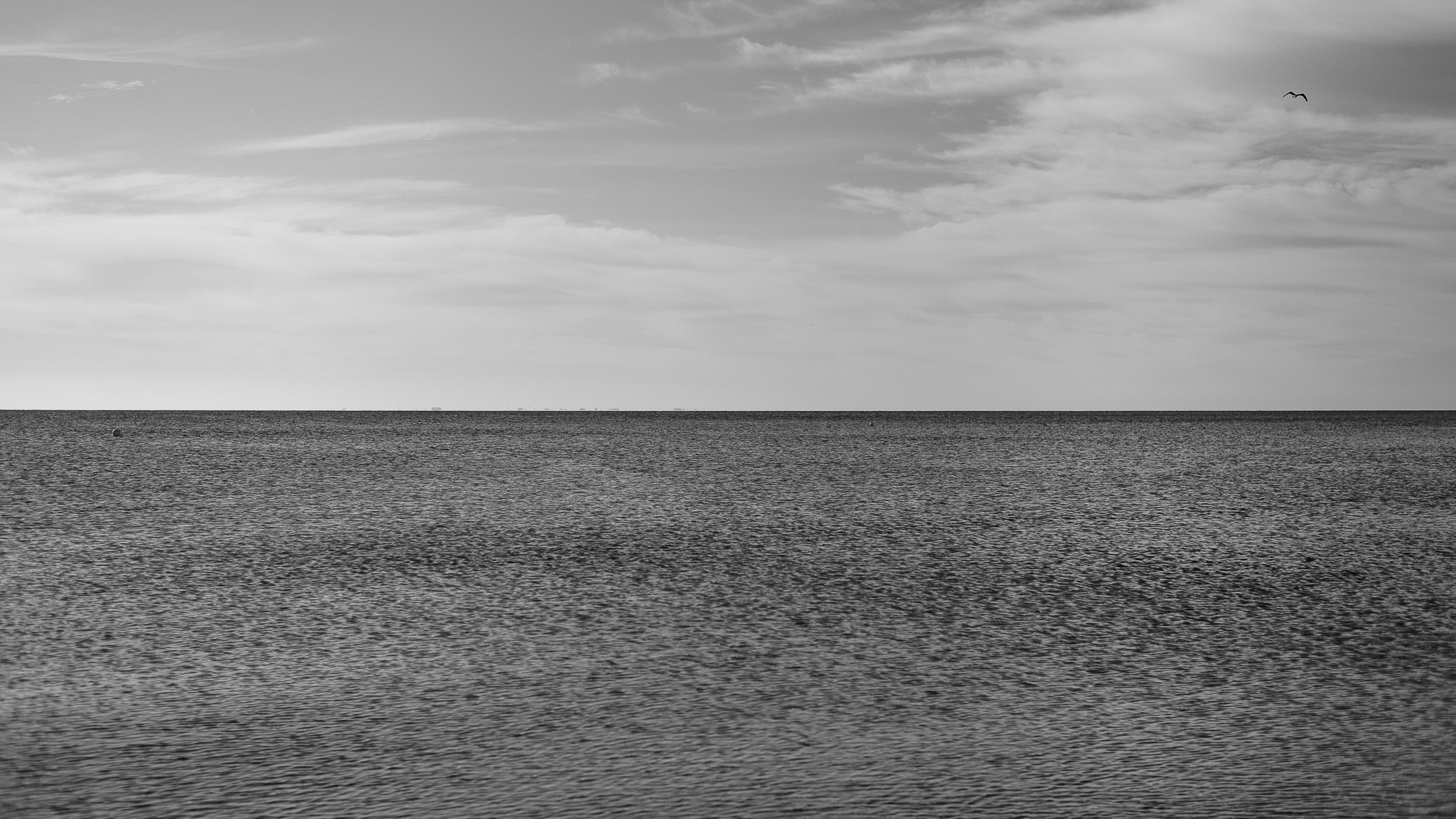Blick in schwarz-weiß auf das flache und ruhige Wasser der Ostsee, am Himmel sind leichte Schleierwolken zu sehen, in der oberen rechten Bildecke fliegt eine Möwe